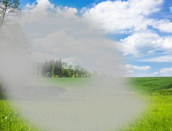 緑内障について